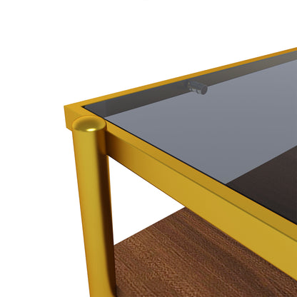 Modern Glass Coffee Table with Golden Metal Frame and Wooden Storage Shelf