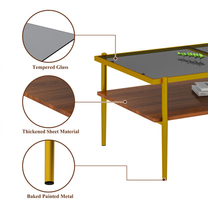 Modern Glass Coffee Table with Golden Metal Frame and Wooden Storage Shelf